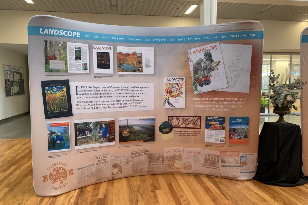 A large banner display showing photos from the magazine