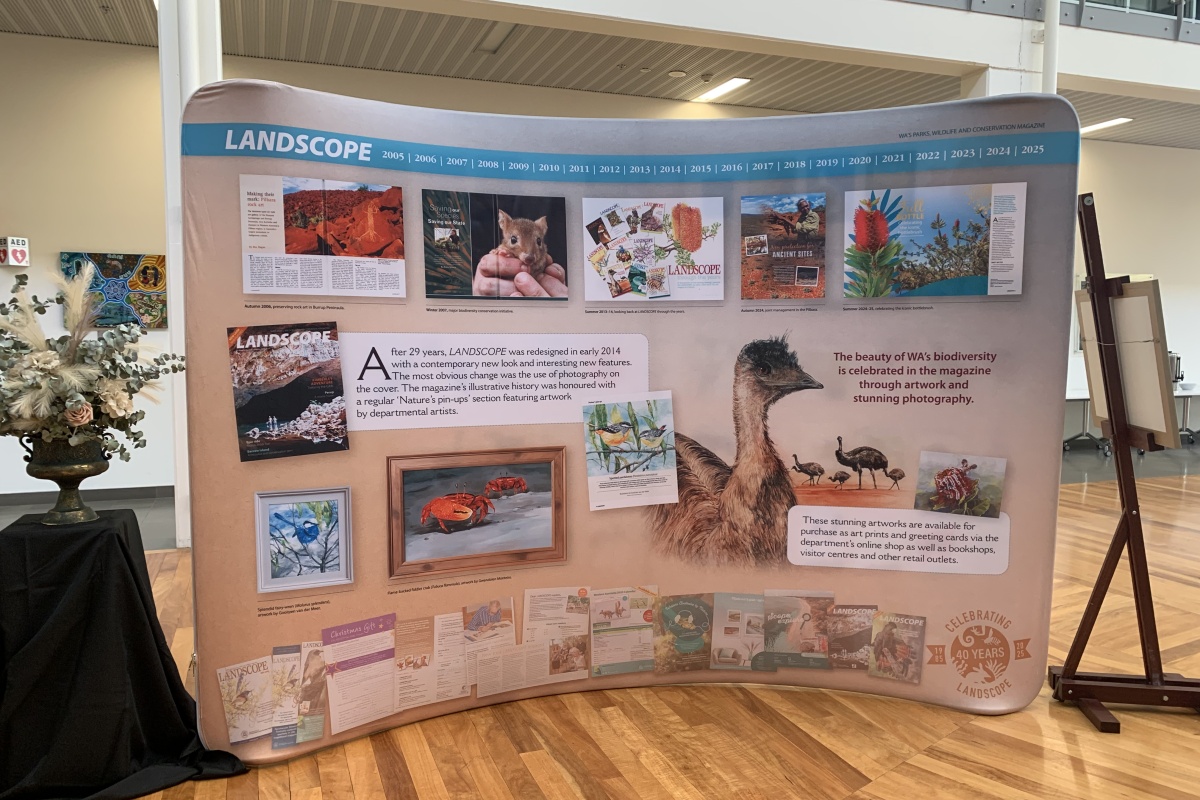 A large banner display showing photos from the magazine