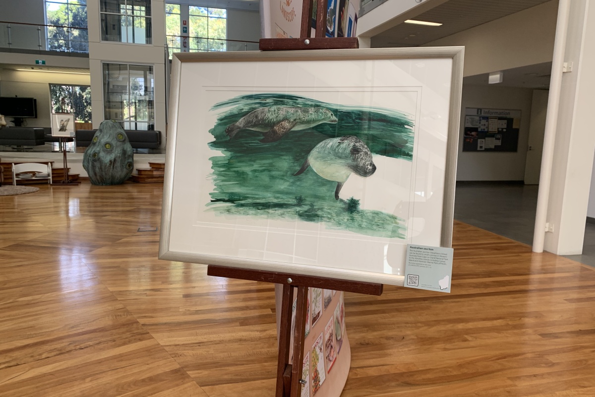 An illustration of sea lions swimming in a green ocean in a frame