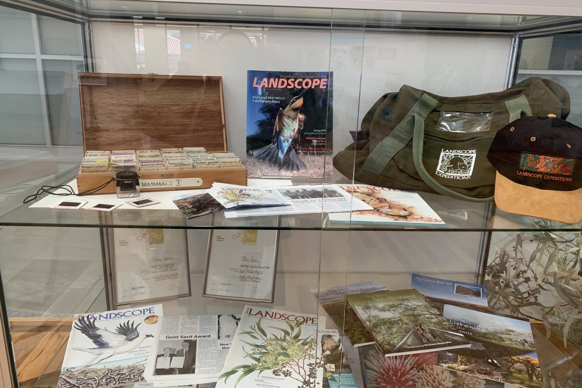 A series of slides, magazines and souvenirs from the magazine in a display cabinet