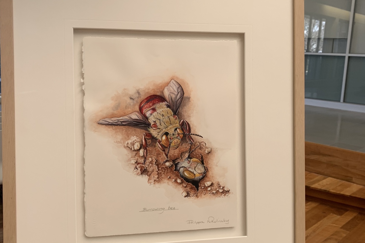 An illustration of a bee in a frame on an easel 