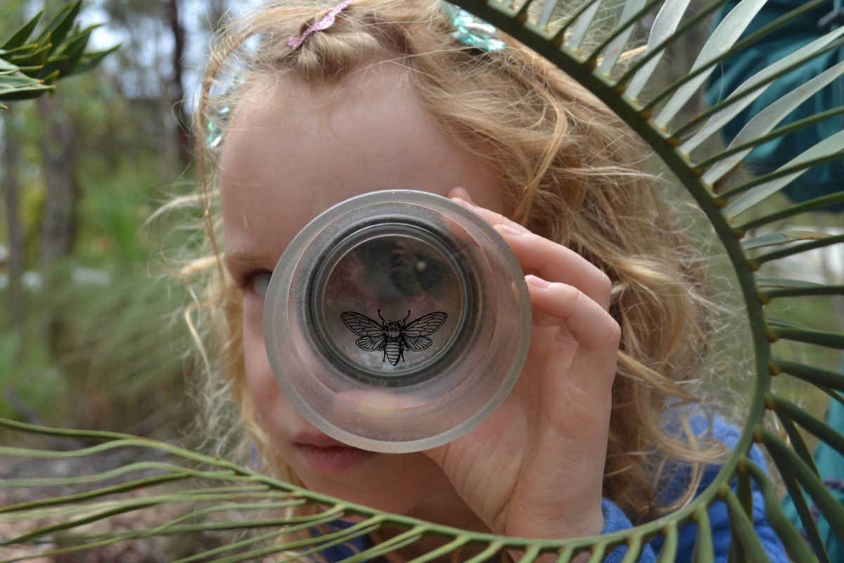 A child looks through a glass with a bee on it