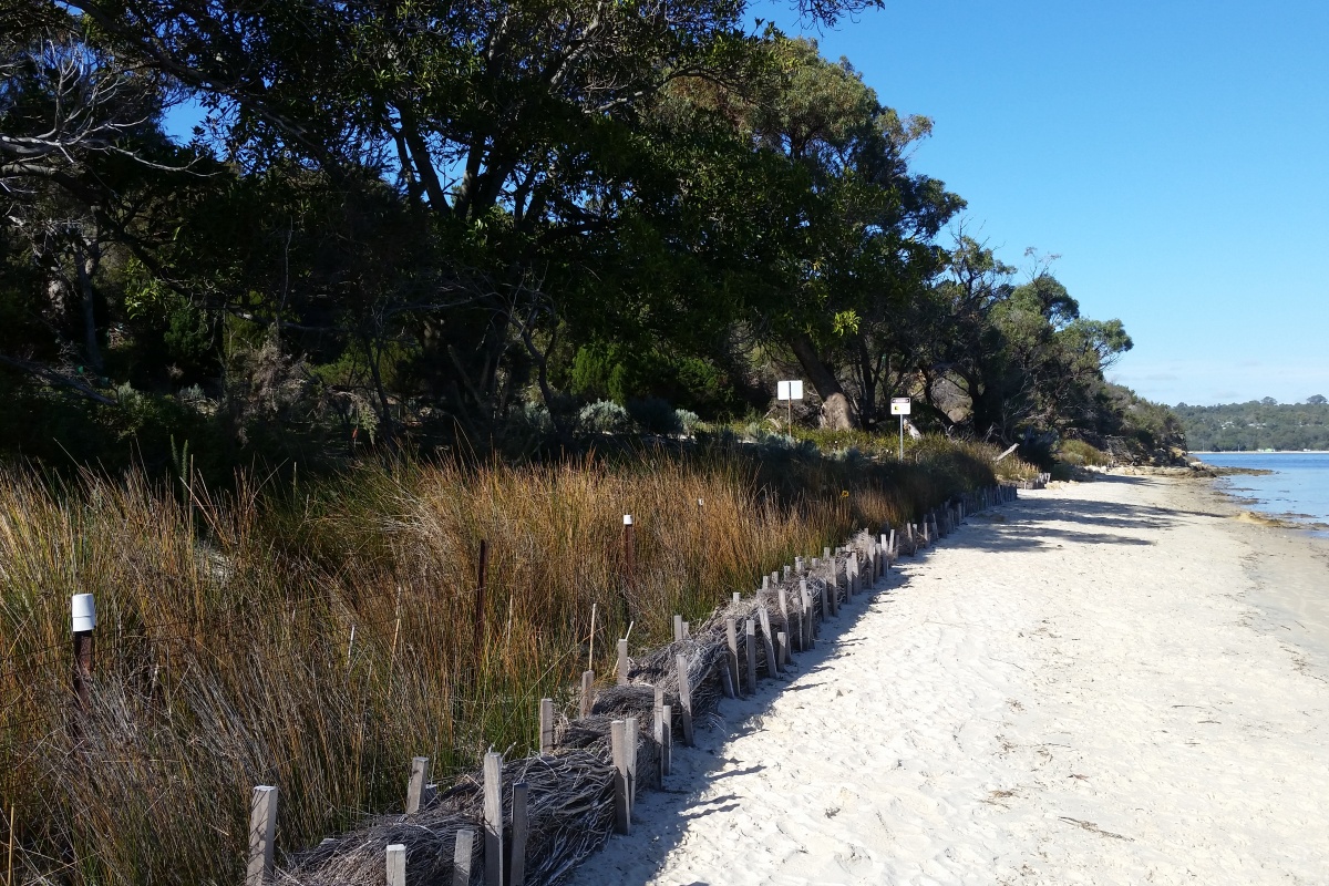 Point Resolution foreshore restoration works