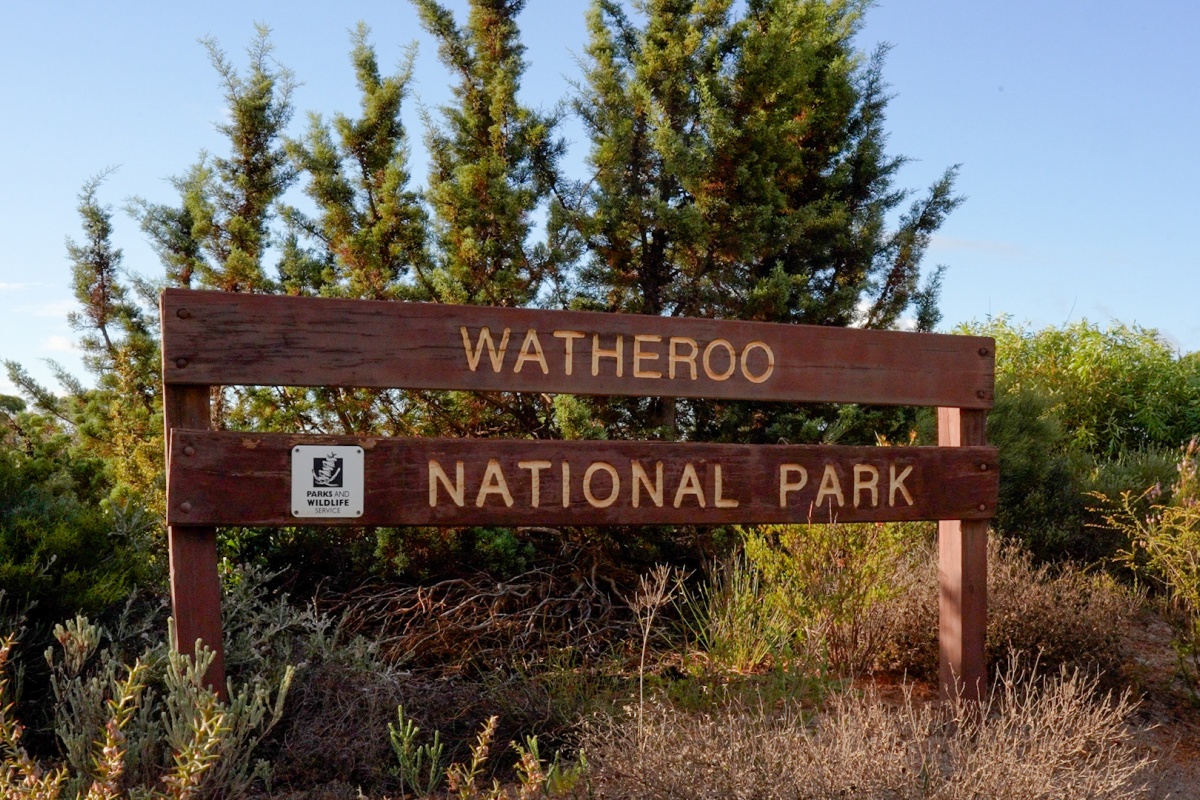 Wooden sign reading “Watheroo National Park” with a Parks and Wildlife Service logo, set among native shrubs and small trees under a clear blue sky.