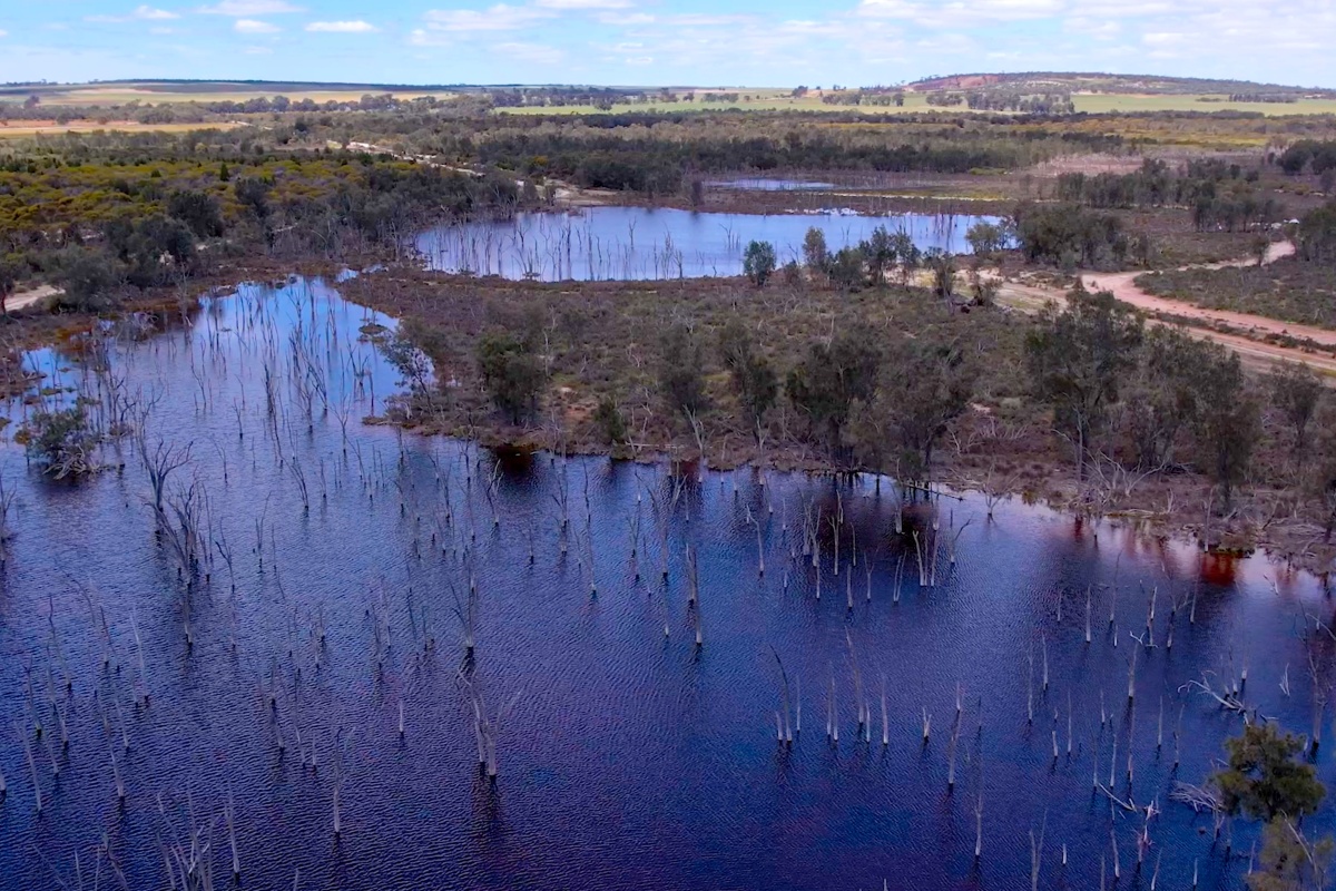 Aerial view of a wetland landscape with multiple shallow lakes and flooded areas dotted with dead tree trunks, surrounded by bushland and farmland, with a dirt road winding through the scene under a partly cloudy sky.