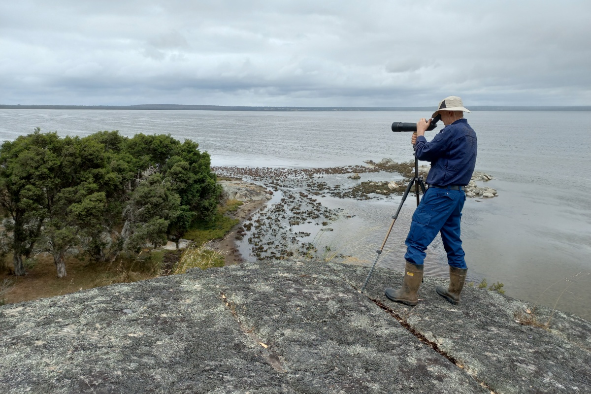 Bird monitoring in the South Coast Region