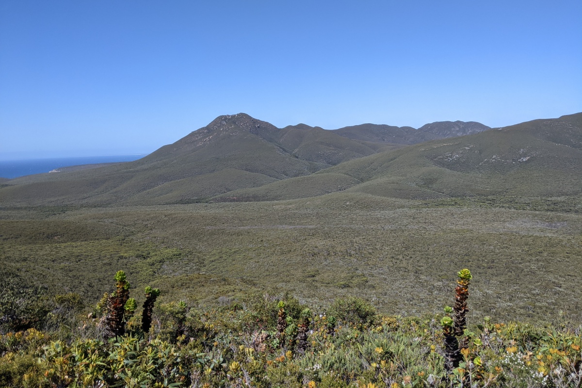  Mountains and undulating plains of the Fitzgerald River National Park. Photo – DBCA/Megan Dilly