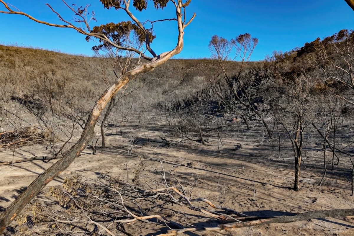 The fire burned more than half of the entire national park. Photo – DBCA