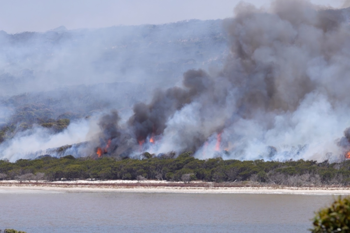 The large-scale bushfire in Fitzgerald River National Park in February 2026. Photo – DBCA