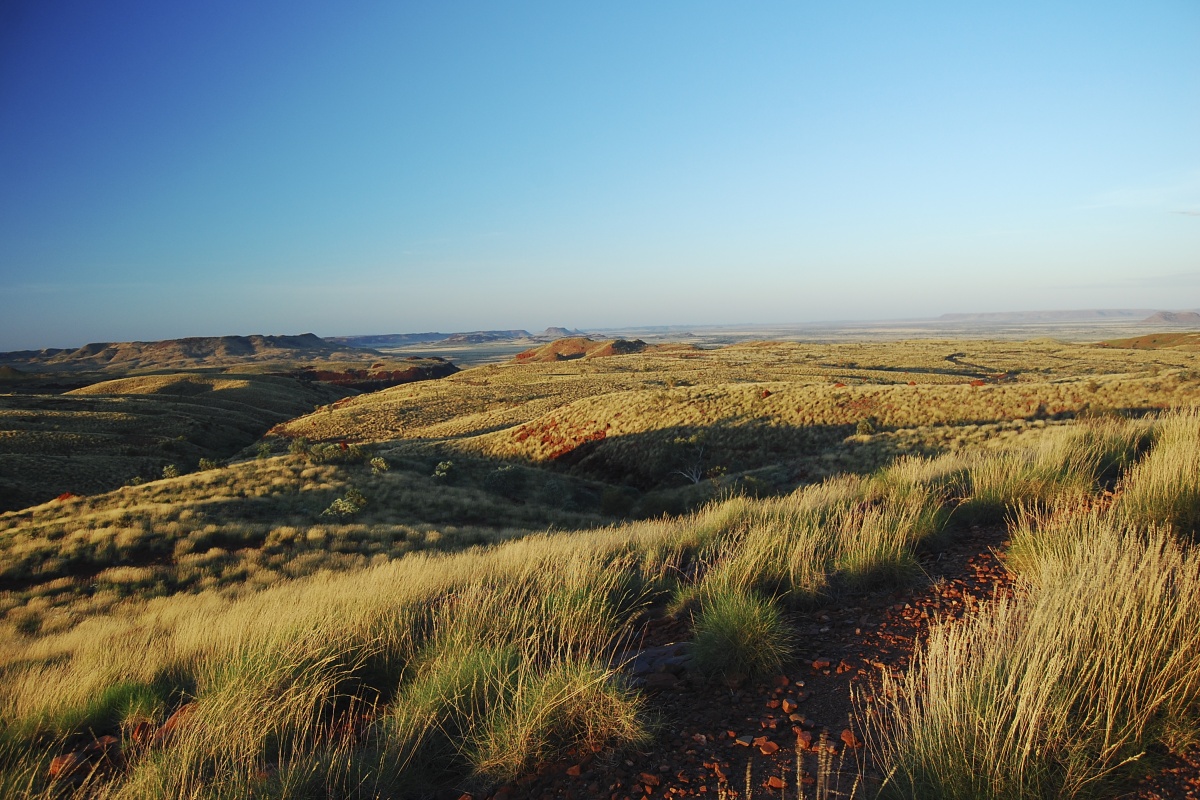 View from Mt Herbert in the Pilbara Region. Photo - Scott Godley/DBC